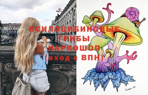 скорость Белокуриха