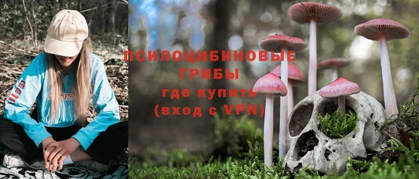 скорость Белокуриха