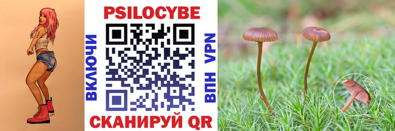 Псилоцибиновые грибы Cubensis  OMG рабочий сайт  Макаров 